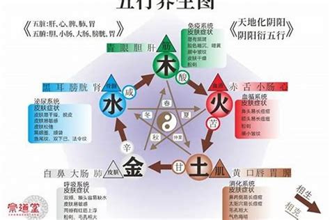 水和木 五行|五行木和水的关系